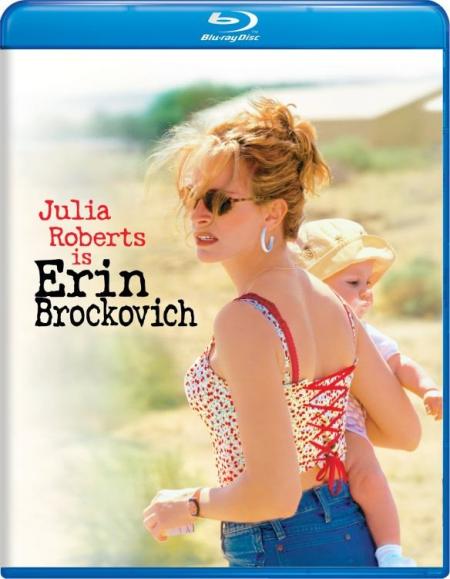 Link-to-Erin-Brockovich-in-the-library-catalog